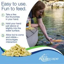 KOI KRUNCHIES - Image 6