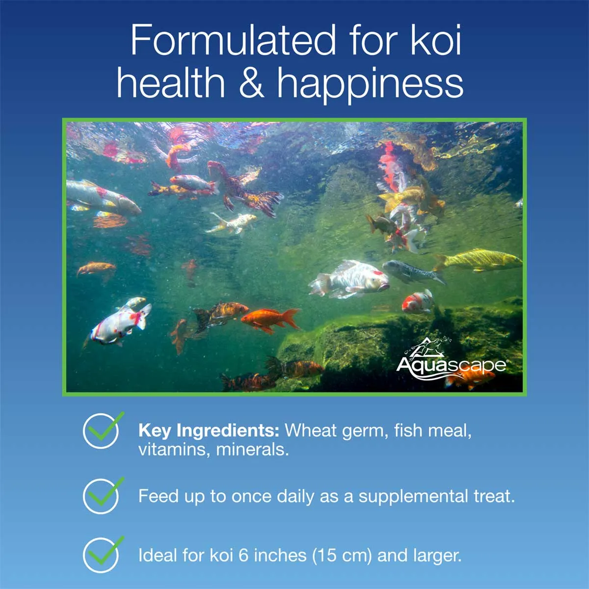 KOI KRUNCHIES - Image 8