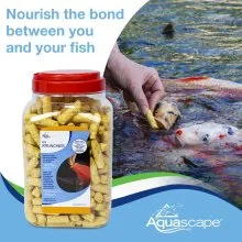 KOI KRUNCHIES - Image 7