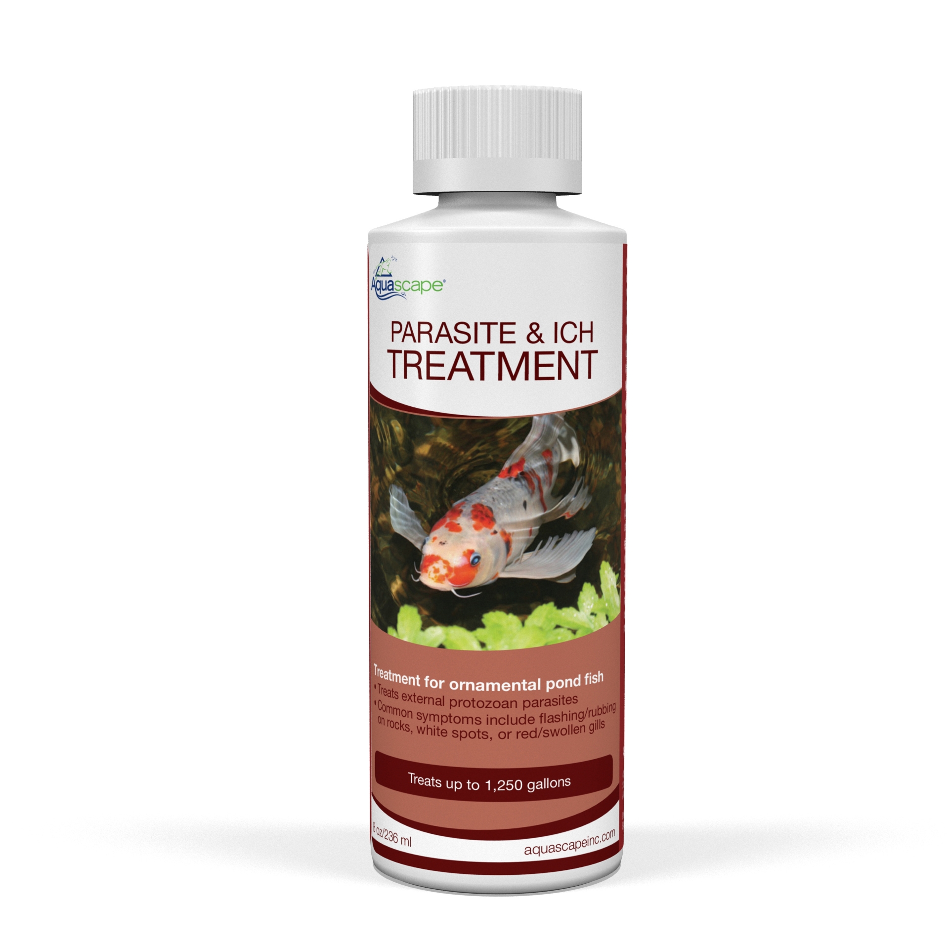 PARASITE & ICH TREATMENT