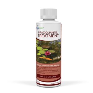 PRAZIQUANTEL TREATMENT