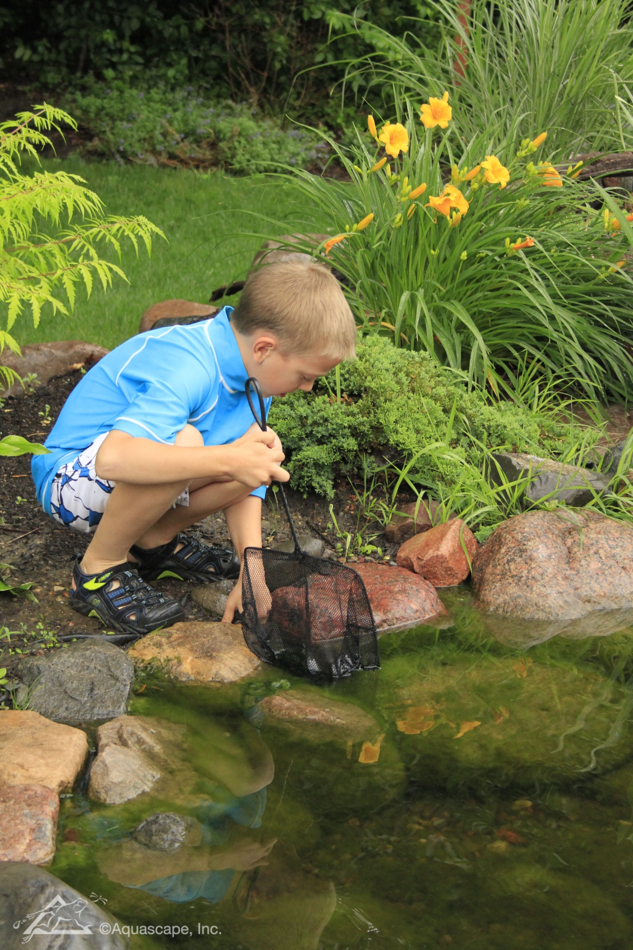 KIDS POND EXPLORER NET - Image 2