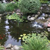Barker-Pond