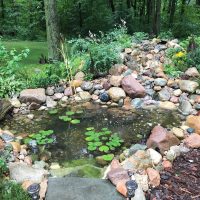 Boothby-Pond