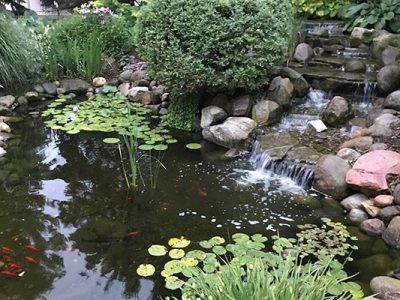 Great Lakes Pondscapes