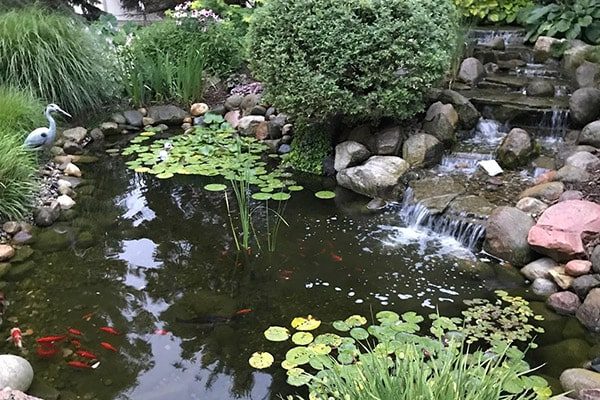 Great Lakes Pondscapes Great Lakes Pondscapes