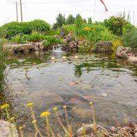 Great Lakes Pondscapes