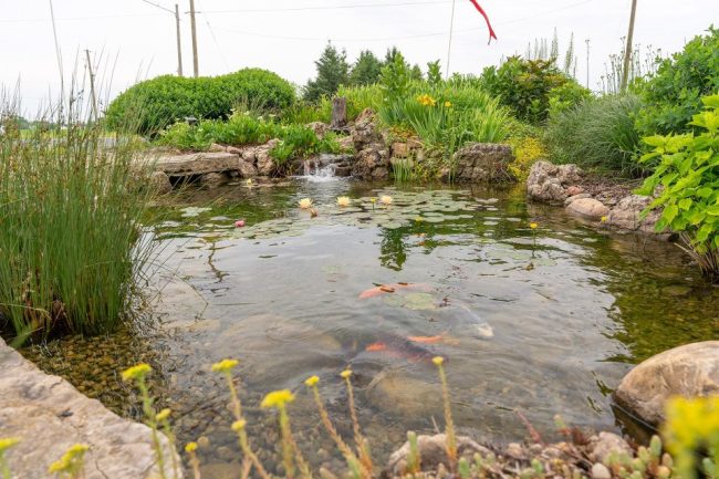 Great Lakes Pondscapes