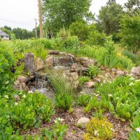 Great Lakes Pondscapes