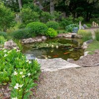 Great Lakes Pondscapes