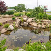 Great Lakes Pondscapes