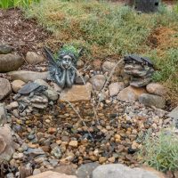 Great Lakes Pondscapes