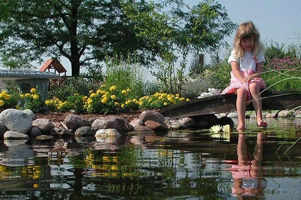 Great Lakes Pondscapes