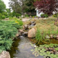 Great Lakes Pondscapes