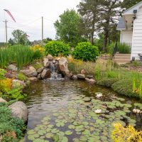 Great Lakes Pondscapes
