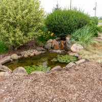 Great Lakes Pondscapes