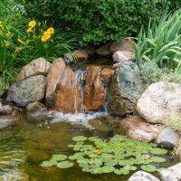 Great Lakes Pondscapes