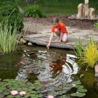 Great Lakes Pondscapes