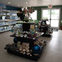 Great Lakes Pondscapes