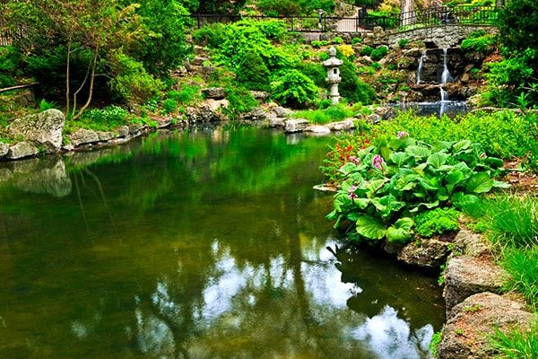Great Lakes Pondscapes