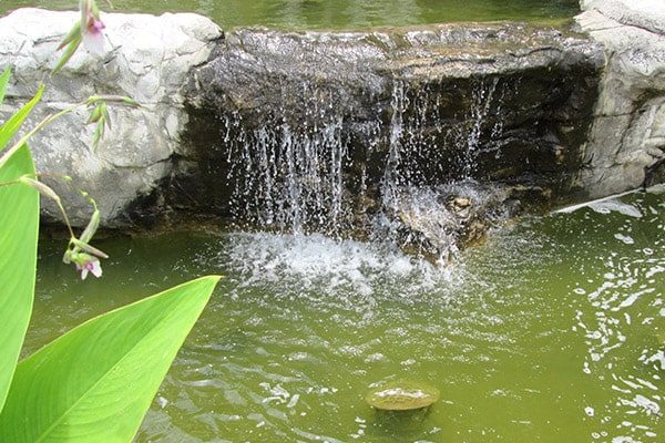 Great Lakes Pondscapes