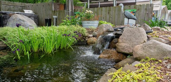 Great Lakes Pondscapes