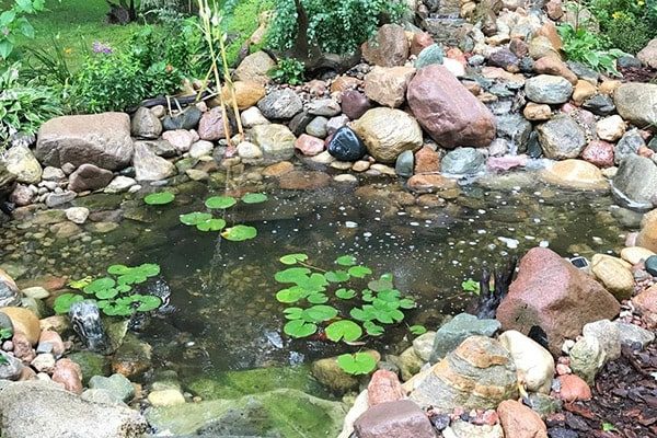 Great Lakes Pondscapes