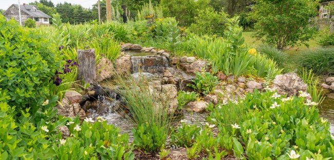 Great Lakes Pondscapes