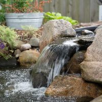 Great Lakes Pondscapes