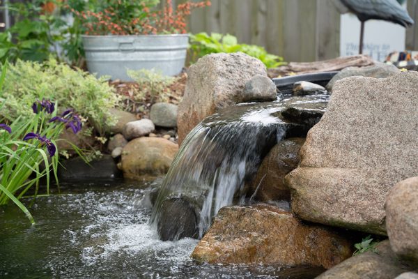 Great Lakes Pondscapes