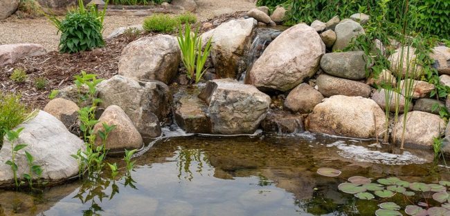 Great Lakes Pondscapes