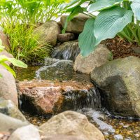 Great Lakes Pondscapes