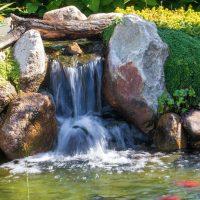 Local Ponds