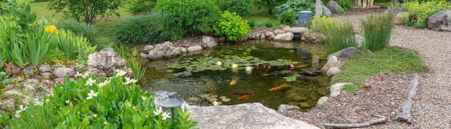 Natural Ponds
