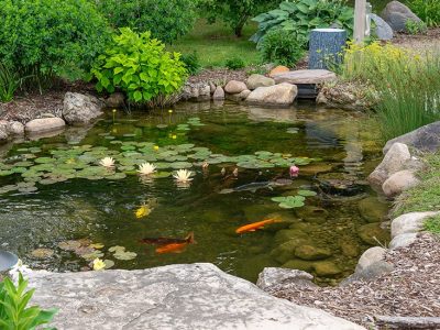 Natural Ponds