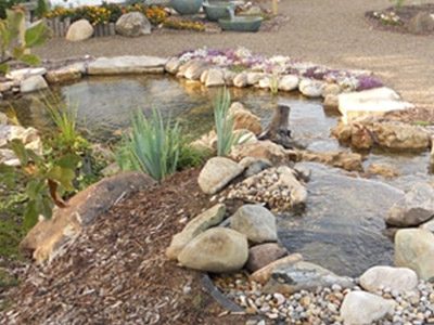Outdoor Showplace