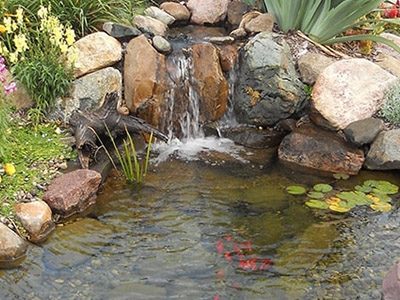 Pond Care