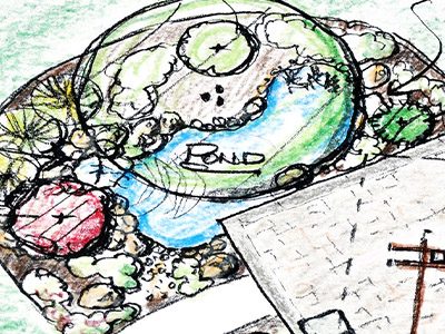 Pond Design