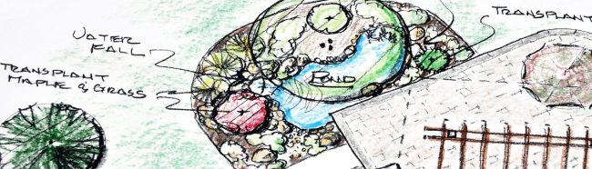 Pond Design
