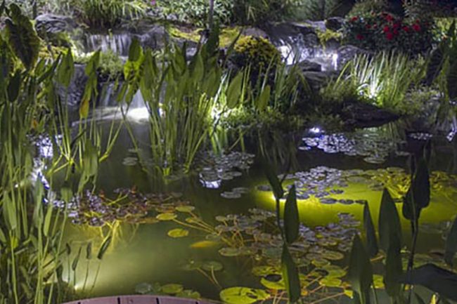 Select Pond Lighting Package
