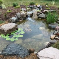 Sheldon-pond