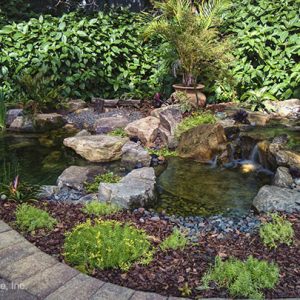 POND/PONDLESS WATER FEATURE KITS