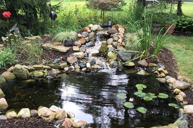 Wilderness Wilderness