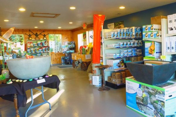 Indoor Shop