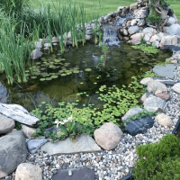 Pondscapes