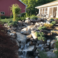 Pondscapes