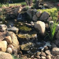 Pondscapes