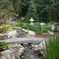 Pondscapes